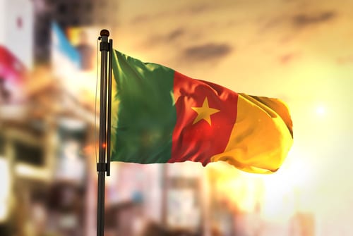 the Cameroon flag