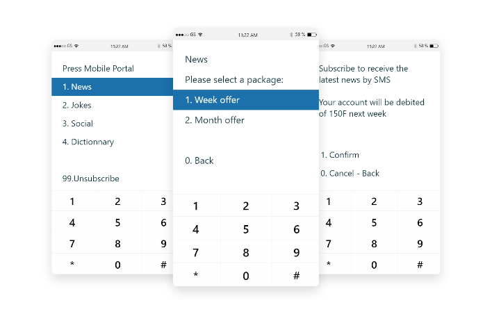 Screens of USSD options