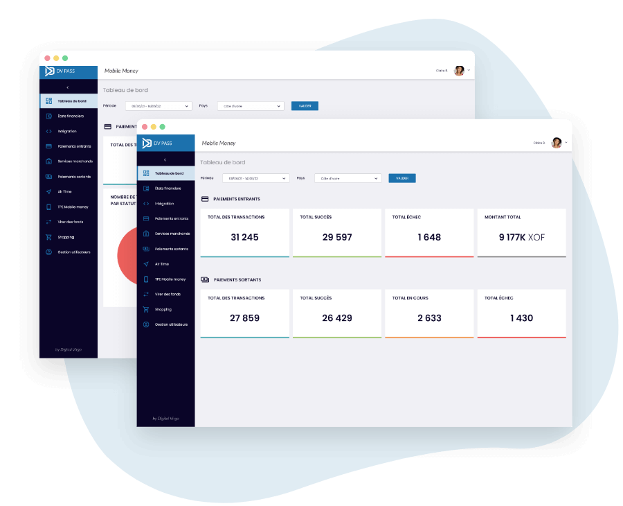 Digital Virgo carriers connection