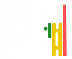 Logo Senegal Musik Digital