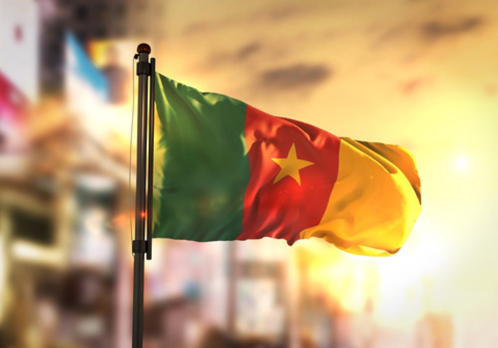 cameroon-flag the Cameroon flag