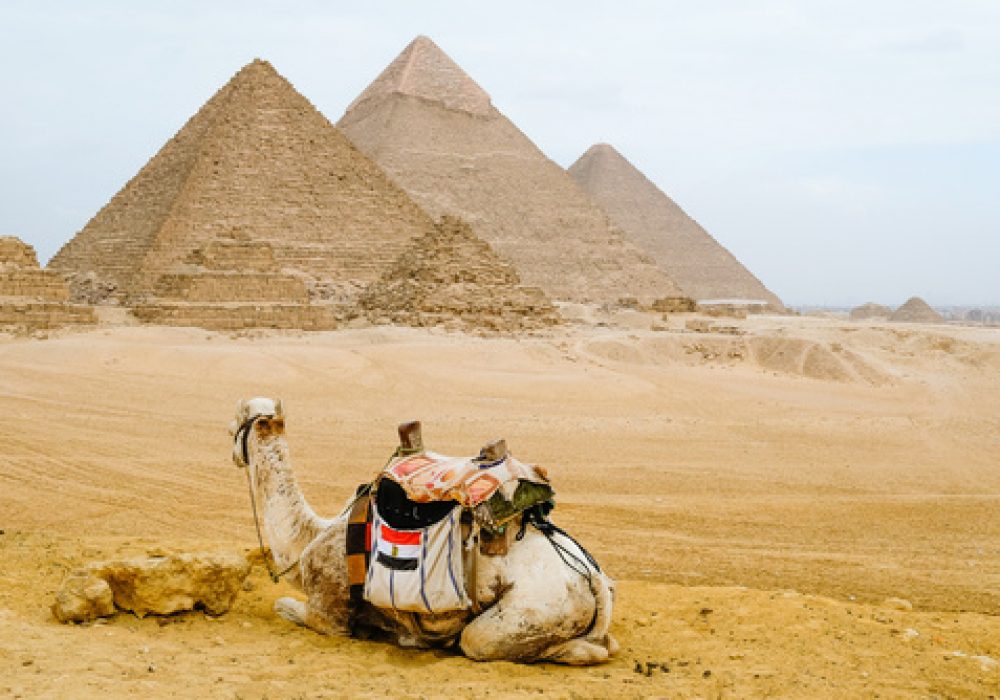 cairo-city The piramids in Egypt