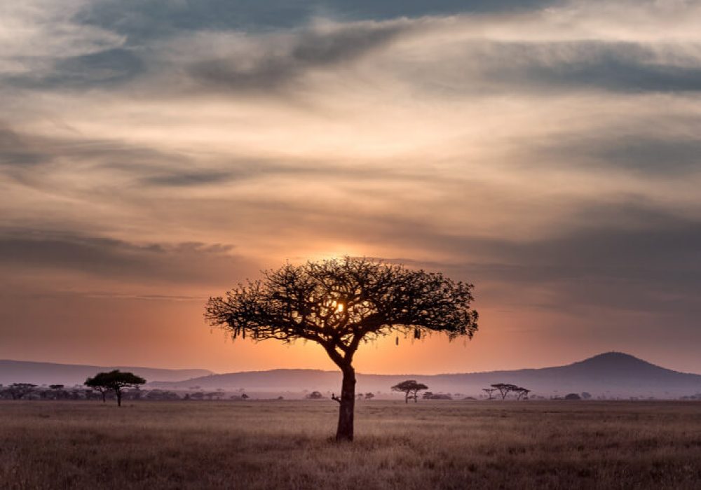 south-africa-office South Africa landscape
